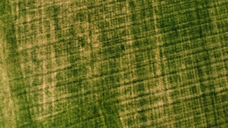 Aerial shot from Simon Leach's drone